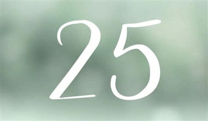 南方公园会有第 25 季吗?