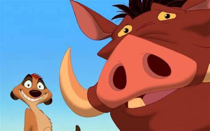 Are Timon and Pumbaa a couple? – Celebrity.fm – #1 Official Stars, Business & People Network, Wiki, Success story, Biography & Quotes