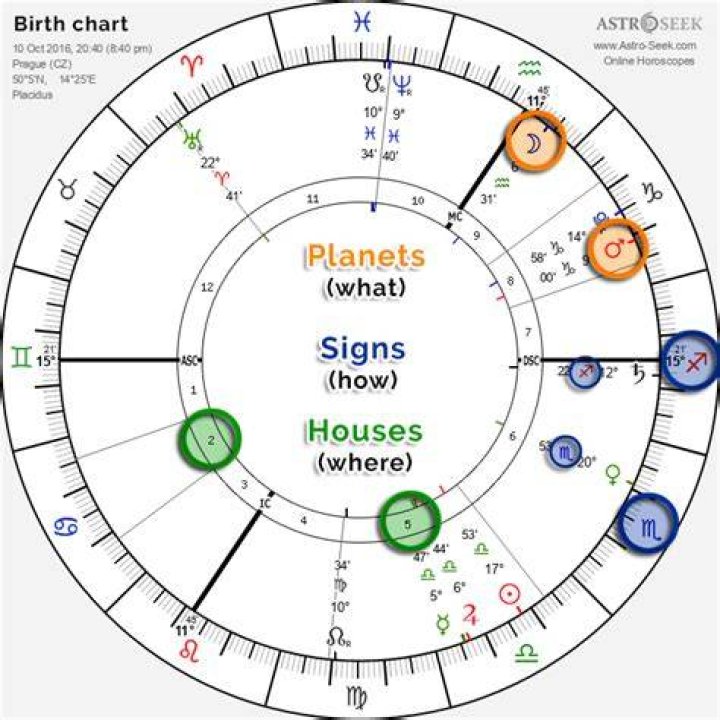 Astrology Birth Chart of Nick Loeb (Business Executive) 2024