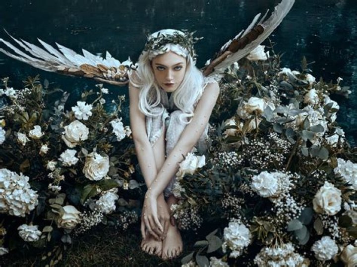 Bella Kotak