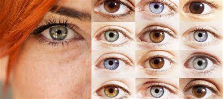 ¿Cuál es el color de ojos más raro? – Celebrity.fm