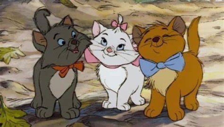 ¿Cuáles son los 3 nombres de los Aristogatos? – Celebrity.fm