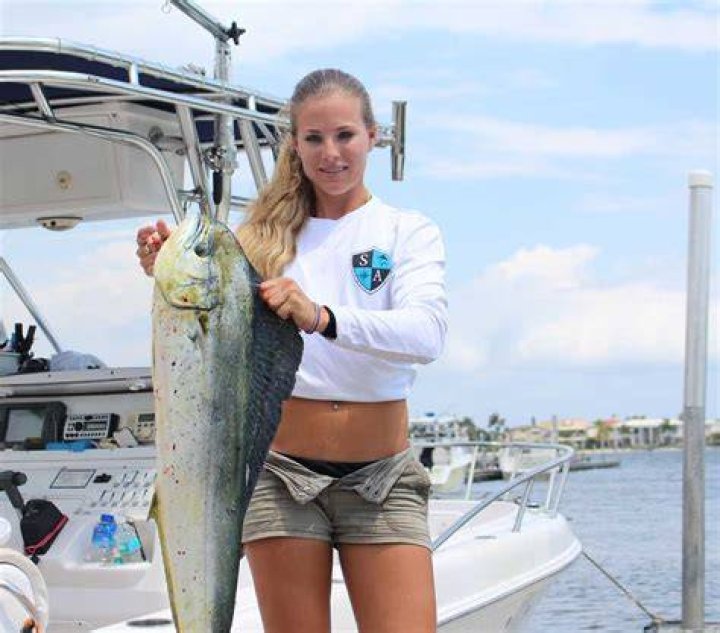 Darcizzle Offshore