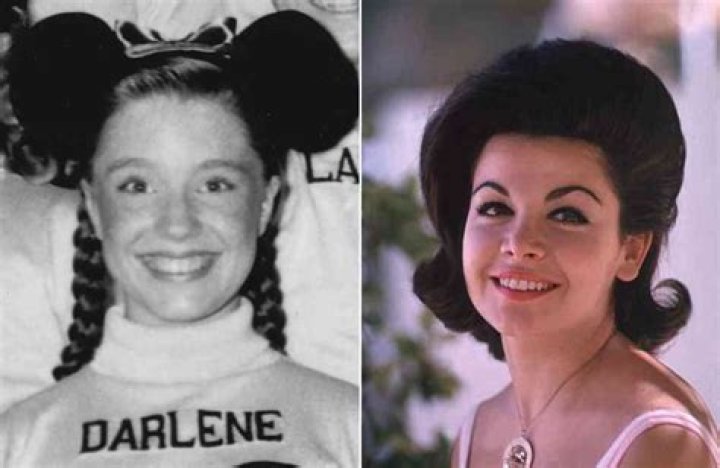 Darlene Gillespie