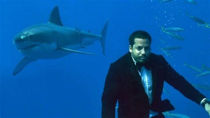 Did David Blaine spend 7 days underwater? – Celebrity.fm – #1 Official Stars, Business & People Network, Wiki, Success story, Biography & Quotes