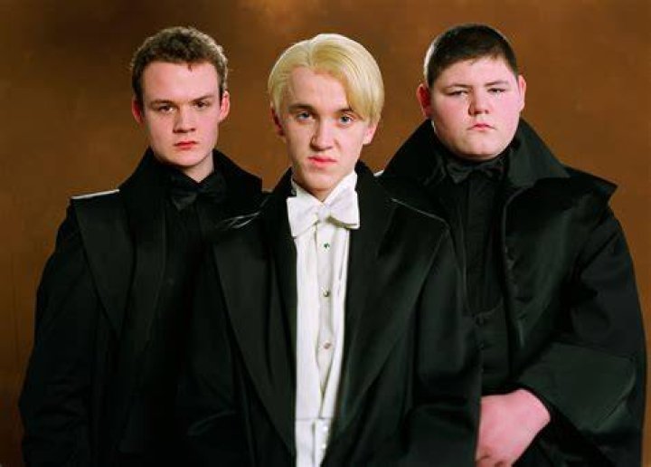 Did Draco care about Crabbe and Goyle?