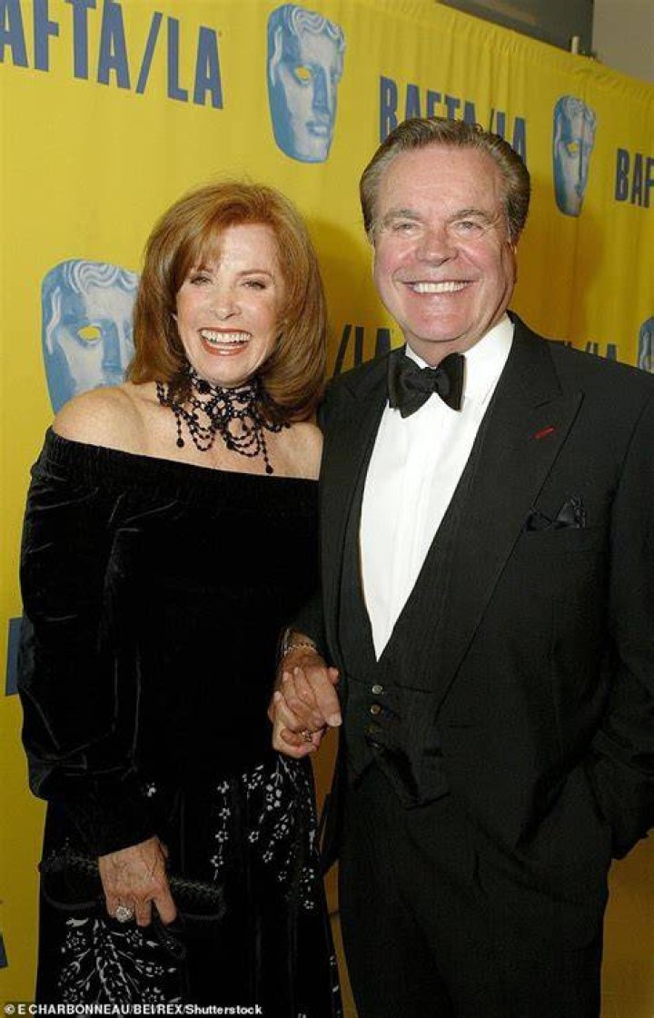 Did Stephanie Powers and Robert Wagner have a relationship?