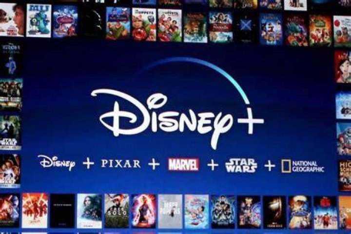 ¿Disney plus tiene perros?