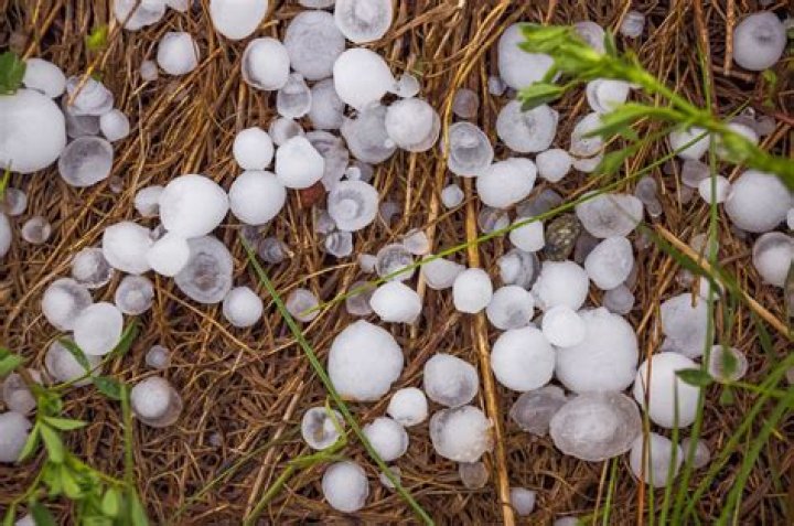 Do the hailstones really live in Alaska?