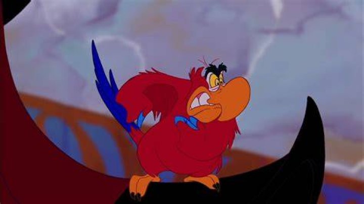 Does Iago sing in Aladdin?