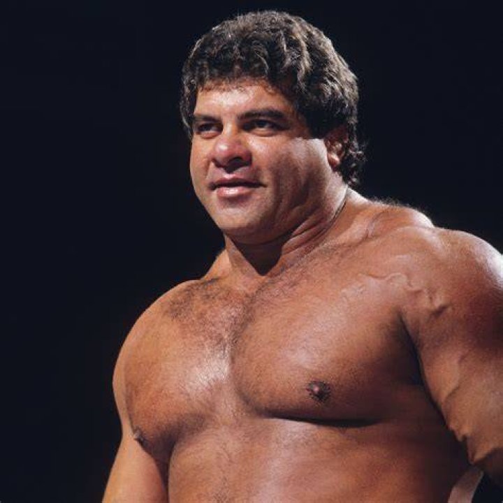 Don Muraco (Wrestler) - Age, Birthday, Bio, Facts, Family, Net Worth, Height & More