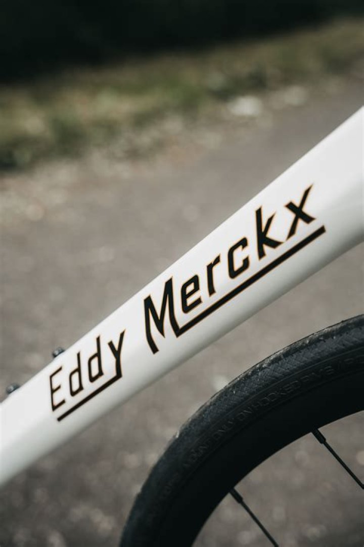 Eddy Merckx (Fietser) - Leeftijd, Verjaardag, Bio, Feiten, Familie, Netto waarde, Hoogte & Meer