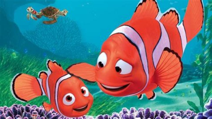 ¿El papá de Nemo es mujer? – Celebrity.fm