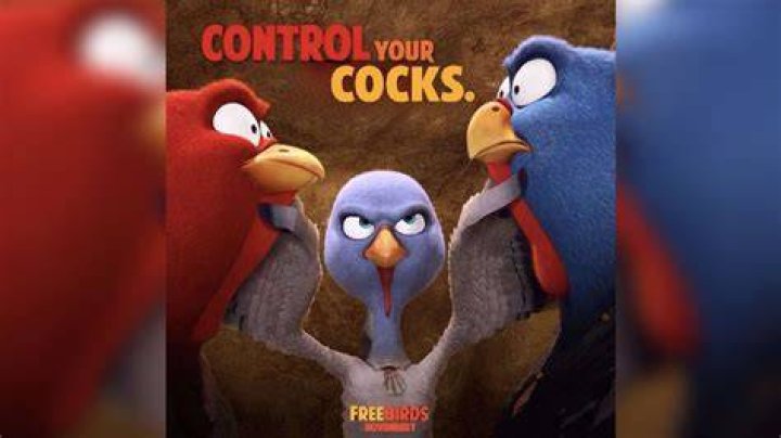 Free Birds