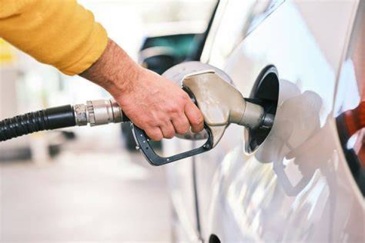 Fuel