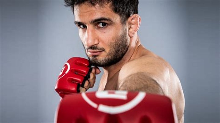 Gegard Mousasi