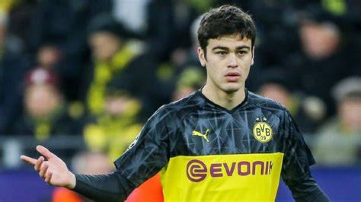 Giovanni Reyna (Soccer Player) - Age, Birthday, Bio, Facts, Family, Net Worth, Height & More