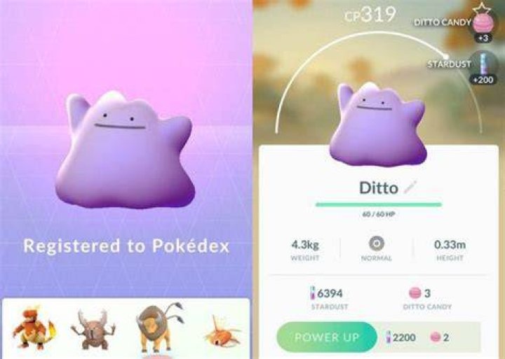 ¿Hay algún truco para conseguir Ditto en Pokemon go? – Celebrity.fm