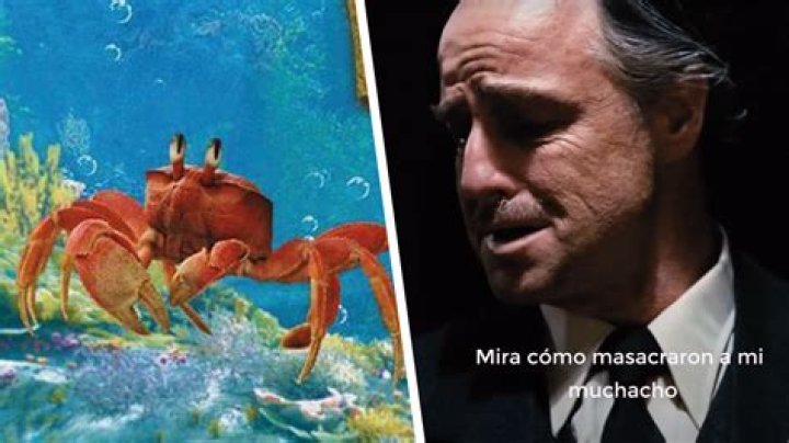 ¿Hay un cangrejo en La Sirenita? – Celebrity.fm