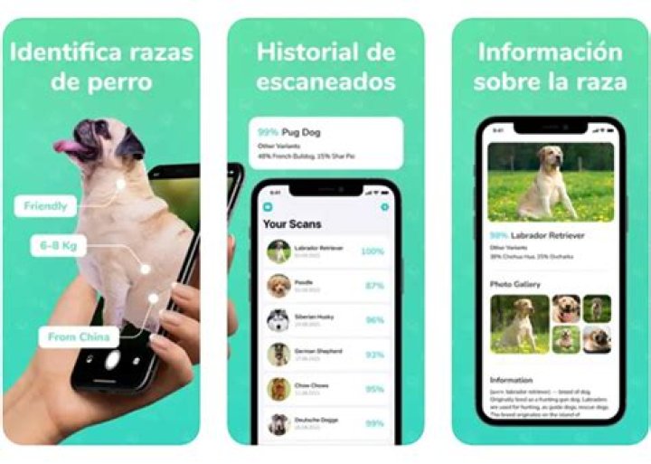 ¿Hay una aplicación para identificar animales? – Celebrity.fm