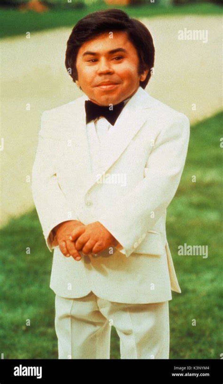 Herve Villechaize