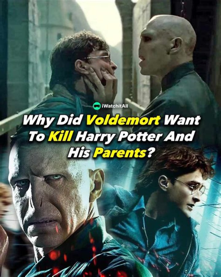 How did Harry Potter break his glasses? – Celebrity.fm – #1 Official Stars, Business & People Network, Wiki, Success story, Biography & Quotes