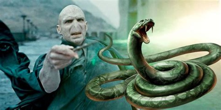 How did Voldemort get Nagini? – Celebrity.fm – #1 Official Stars, Business & People Network, Wiki, Success story, Biography & Quotes