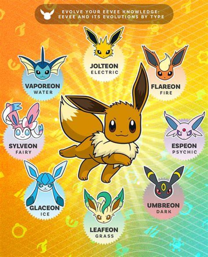 How do I evolve Eevee into bronze brick? – Celebrity.fm – #1 Official Stars, Business & People Network, Wiki, Success story, Biography & Quotes