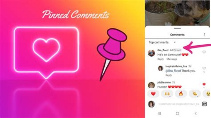 How do I pin a comment on Instagram 2022? – Celebrity.fm – #1 Official Stars, Business & People Network, Wiki, Success story, Biography & Quotes