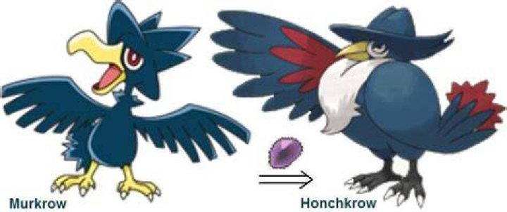 How do you evolve Murkrow arceus? – Celebrity.fm – #1 Official Stars, Business & People Network, Wiki, Success story, Biography & Quotes