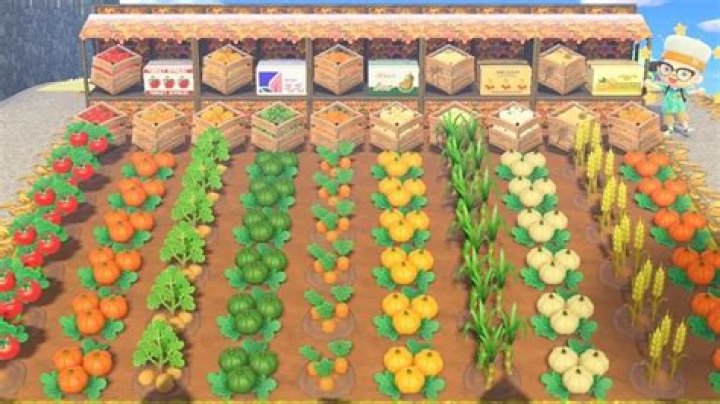 How do you get the new vegetables in Animal Crossing?