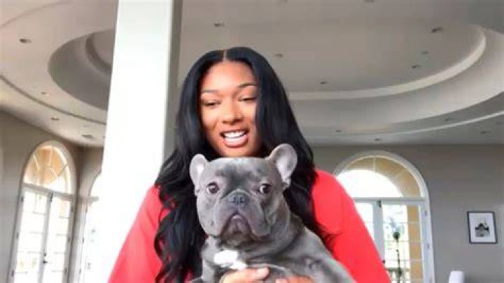 How many dogs does Megan the stallion have? – Celebrity.fm – #1 Official Stars, Business & People Network, Wiki, Success story, Biography & Quotes