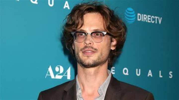 How Much Does Matthew Gray Gubler make a year?