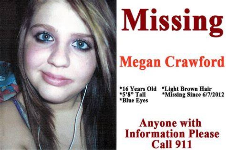 How much of Megan Is Missing is real footage?