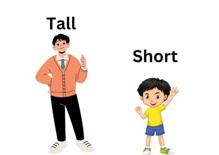 How tall is Staci?