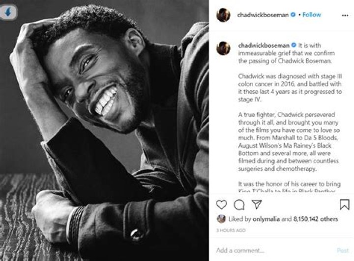 How was Chadwick Boseman before death? – Celebrity.fm – #1 Official Stars, Business & People Network, Wiki, Success story, Biography & Quotes