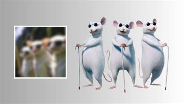 ¿Cómo se llaman los ratones de la Cenicienta?