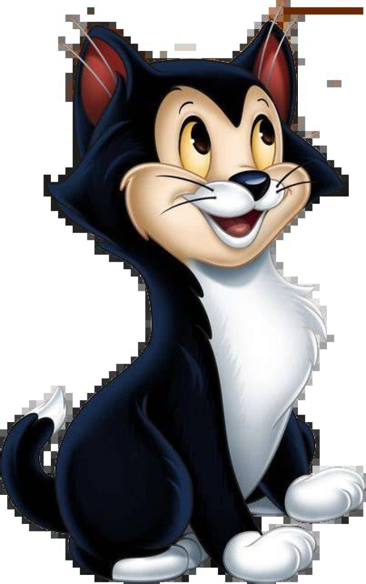 Is Disney’s Figaro a boy or girl? – Celebrity.fm – #1 Official Stars, Business & People Network, Wiki, Success story, Biography & Quotes