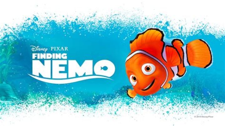 Is Finding Nemo on Netflix? – Celebrity.fm – #1 Official Stars, Business & People Network, Wiki, Success story, Biography & Quotes