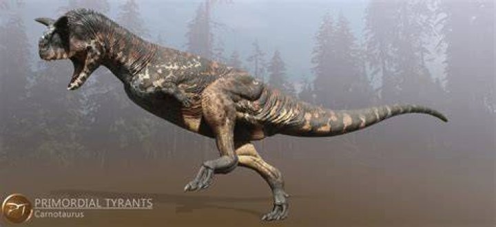 Is the Carnotaurus related to the T Rex?