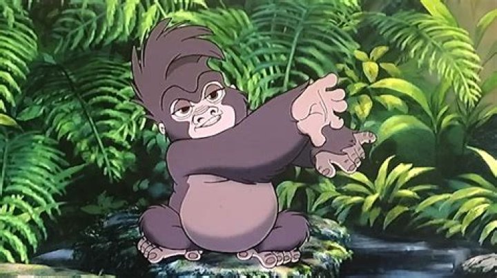 Is the gorilla in Tarzan a girl or boy?