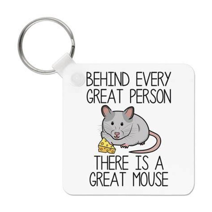 Is there a Great Mouse Detective 2?