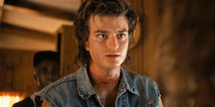 Is Troy Steve’s brother in Stranger Things?