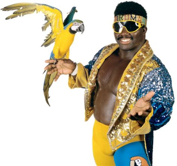 Koko B. Ware (Wrestler) - Age, Birthday, Bio, Facts, Family, Net Worth, Height & More