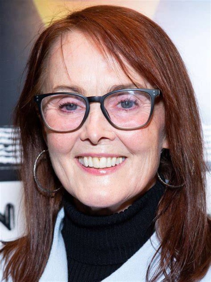 Laura Innes (TV Actress) - Age, Birthday, Bio, Facts, Family, Net Worth, Height & More