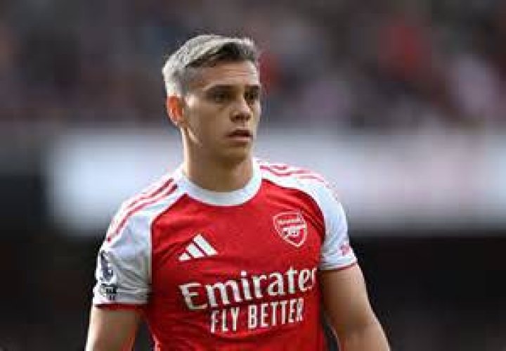 Leandro Trossard (Soccer Player) - Age, Birthday, Bio, Facts, Family, Net Worth, Height & More