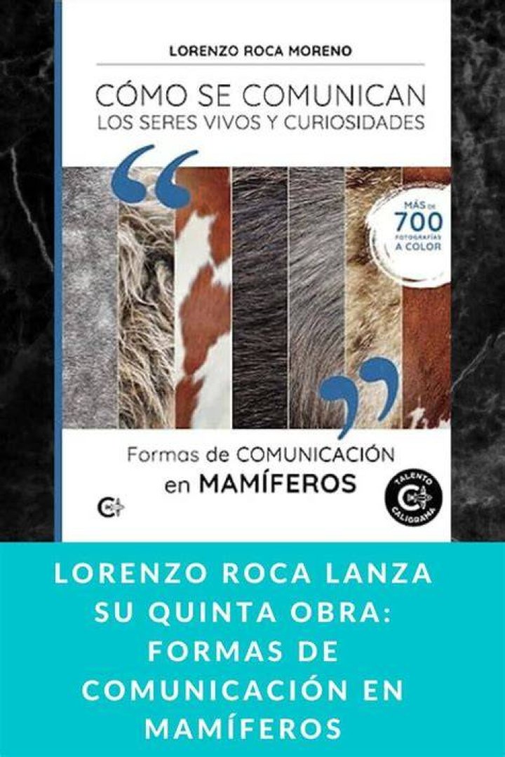 Lorenzo Roca