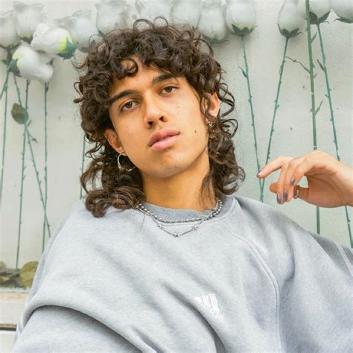 Lukas Oscar Janisch (Pop Singer) - Age, Birthday, Bio, Facts, Family, Net Worth, Height & More