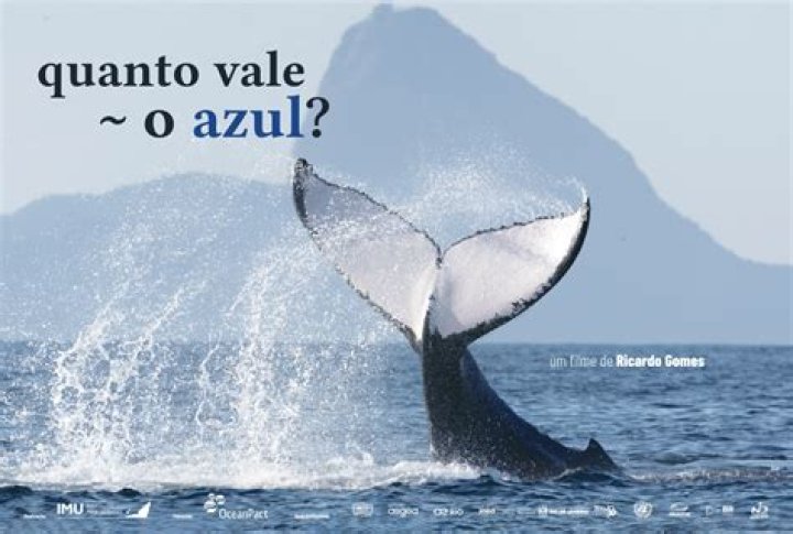 Quanto vale o patrim&ocirc;nio l&iacute;quido de Erika Jaynes?