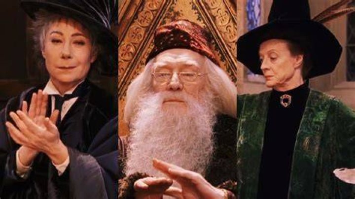 ¿Quiénes son los profesores de Harry Potter? – Celebrity.fm